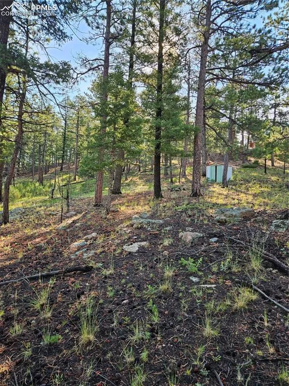 1117 Appleby Drive Sedalia, CO 80135