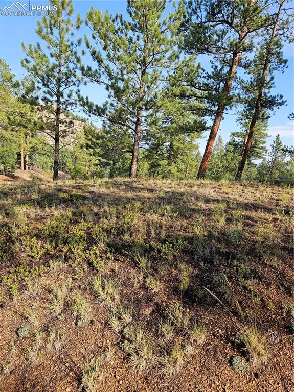 1117 Appleby Drive Sedalia, CO 80135