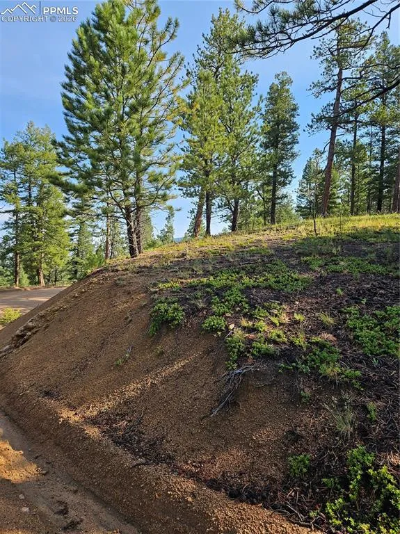 1117 Appleby Drive Sedalia, CO 80135
