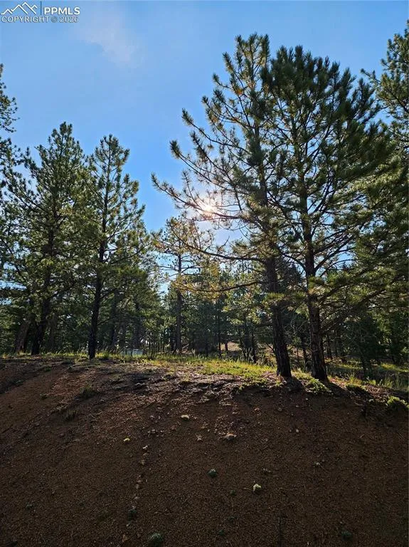 1117 Appleby Drive Sedalia, CO 80135