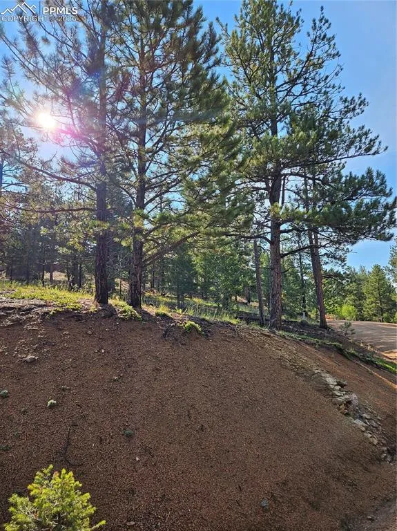 1117 Appleby Drive Sedalia, CO 80135