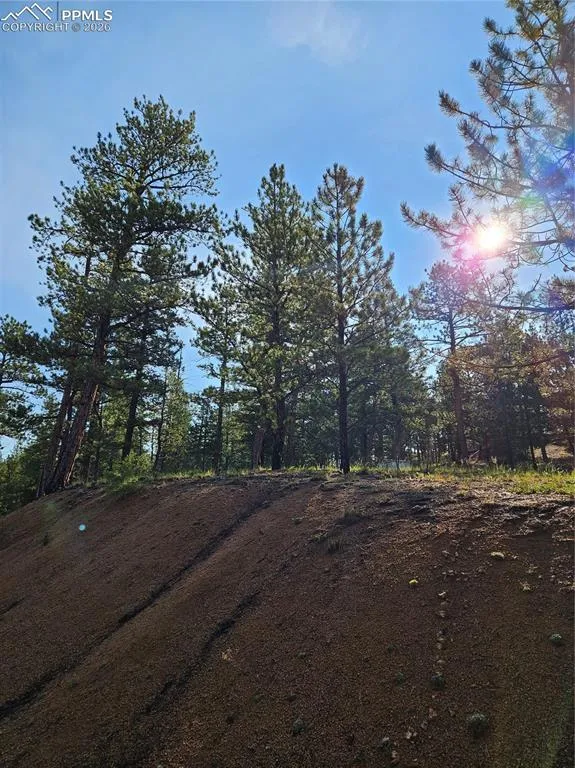 1117 Appleby Drive Sedalia, CO 80135