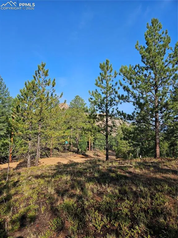 1117 Appleby Drive Sedalia, CO 80135