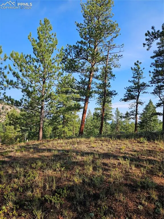 1117 Appleby Drive Sedalia, CO 80135
