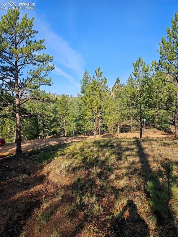 1117 Appleby Drive Sedalia, CO 80135