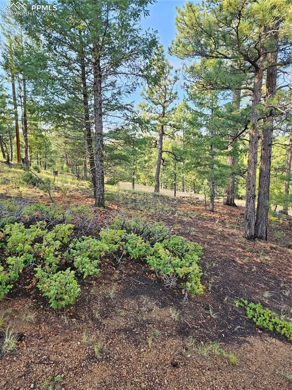 1117 Appleby Drive Sedalia, CO 80135