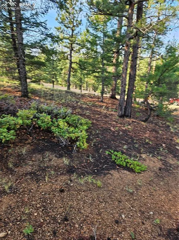 1117 Appleby Drive Sedalia, CO 80135