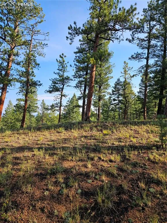1117 Appleby Drive Sedalia, CO 80135