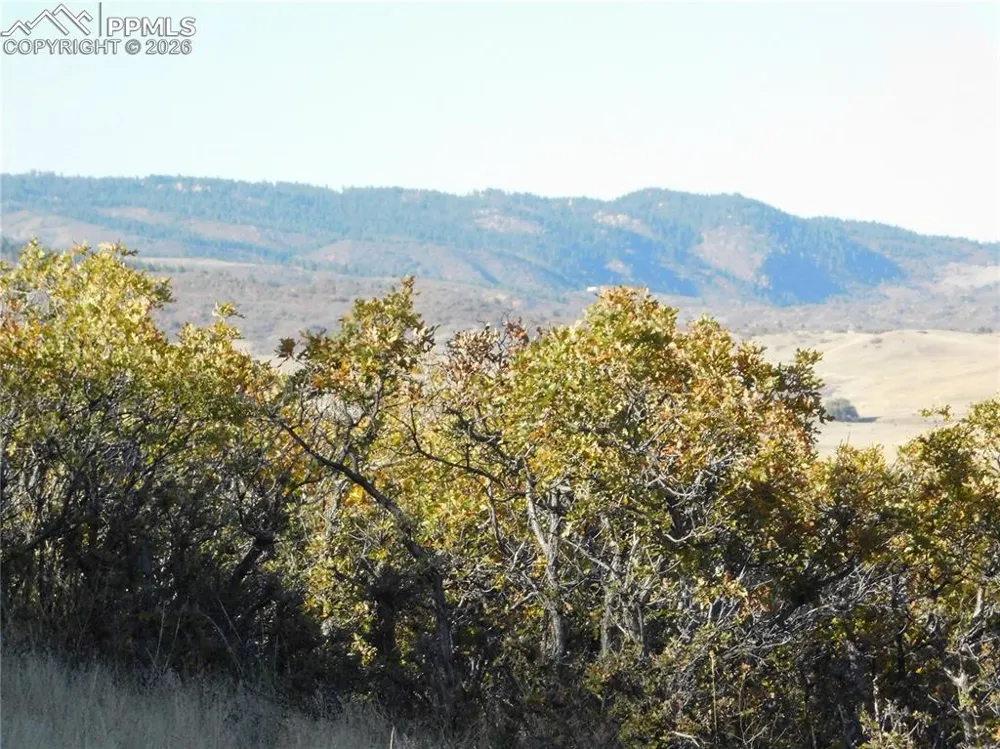 5498 Country Club Drive Larkspur, CO 80118