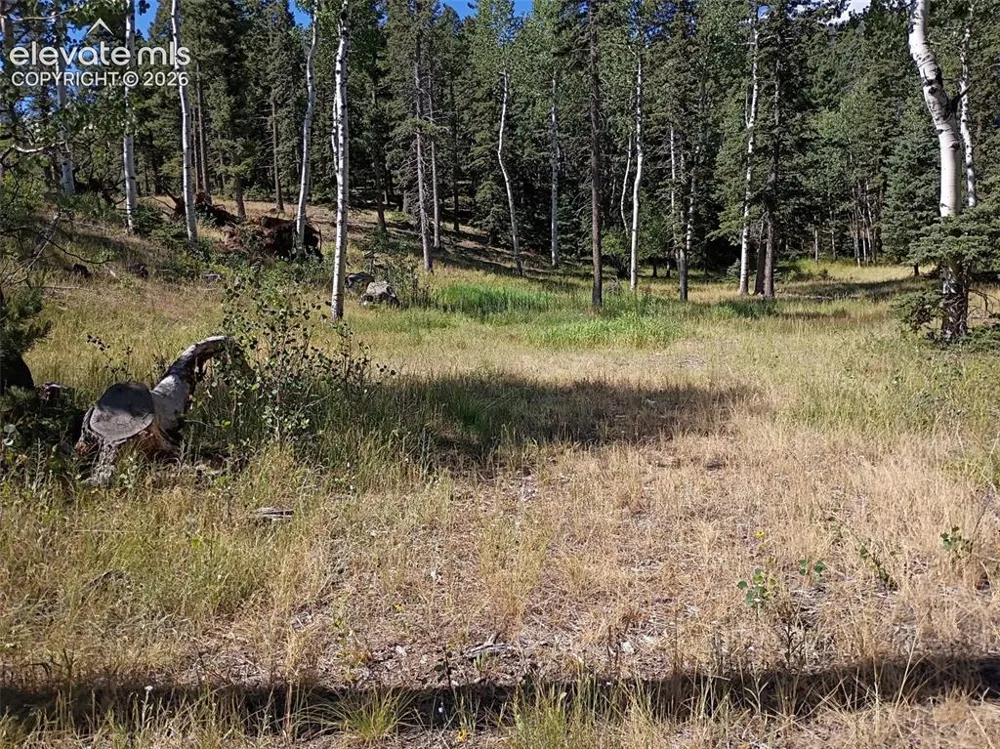 146 Waterfall Loop Manitou Springs, CO 80829
