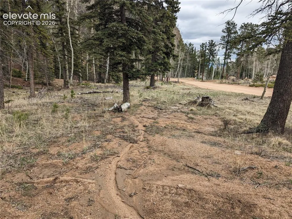 146 Waterfall Loop Manitou Springs, CO 80829