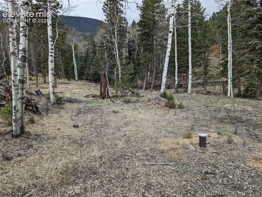 146 Waterfall Loop Manitou Springs, CO 80829