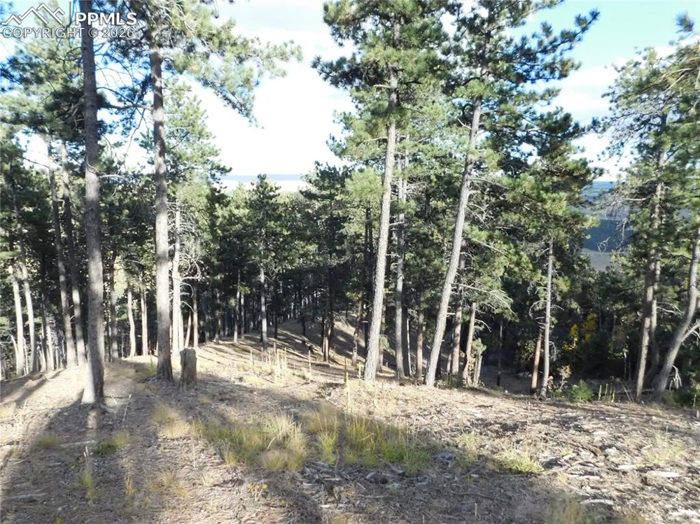 13910 Boulder Lane Larkspur, CO 80118