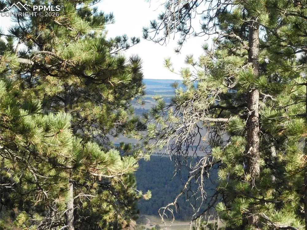 13910 Boulder Lane Larkspur, CO 80118
