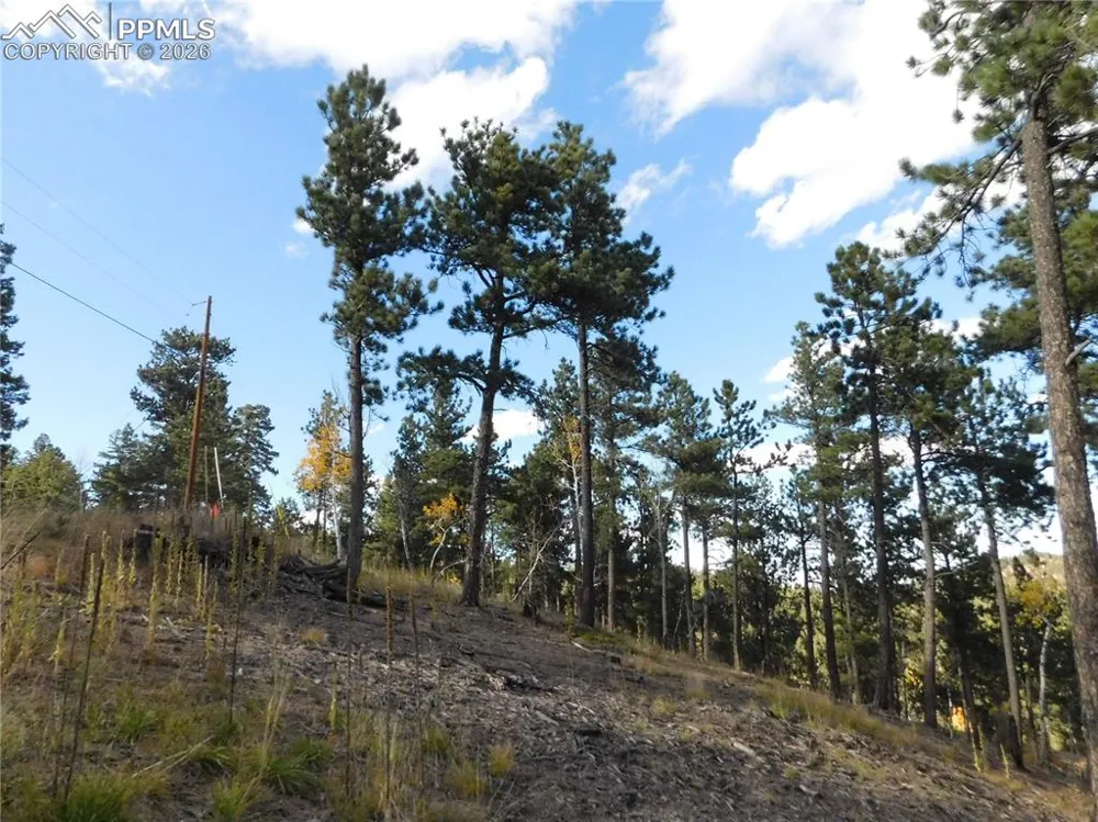13910 Boulder Lane Larkspur, CO 80118