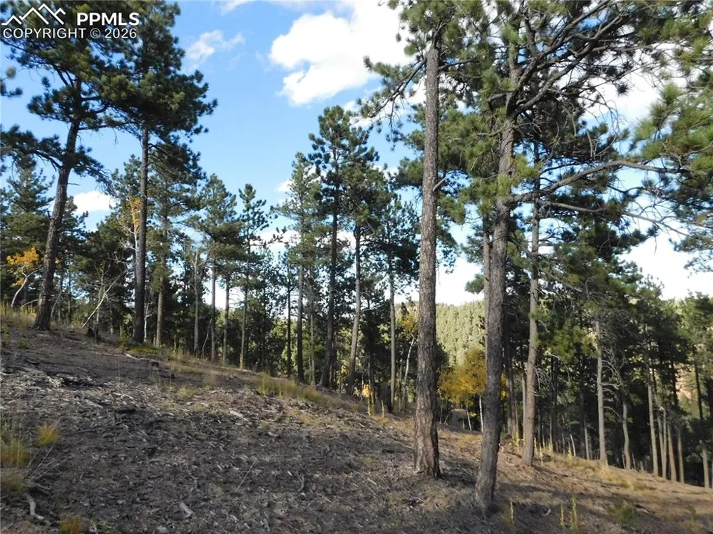13910 Boulder Lane Larkspur, CO 80118