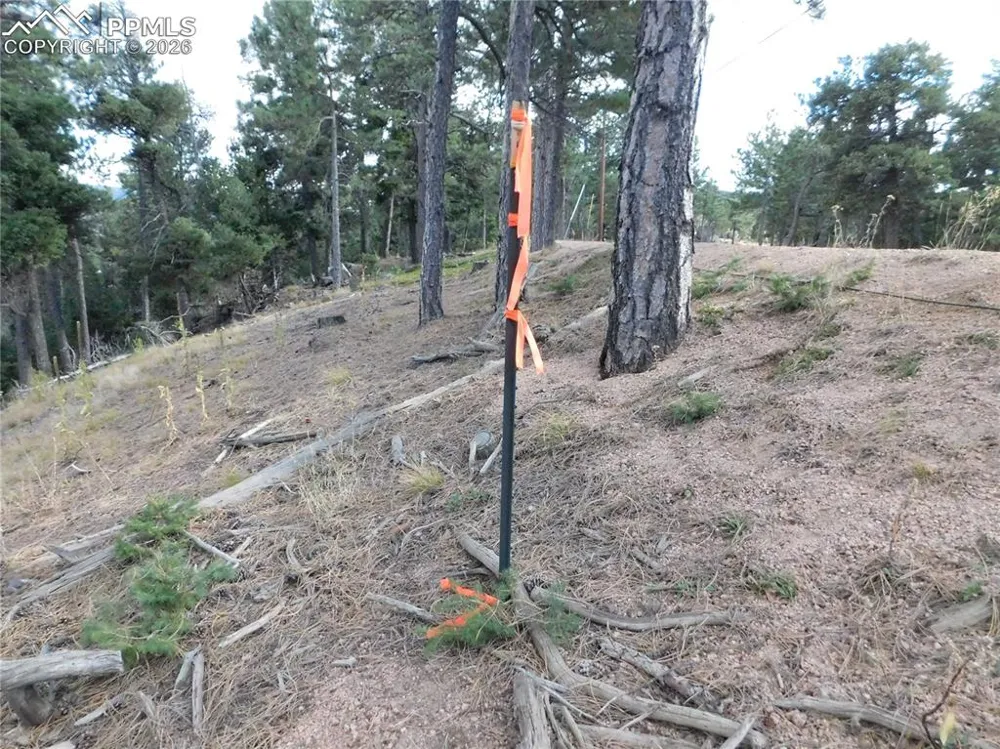 13910 Boulder Lane Larkspur, CO 80118