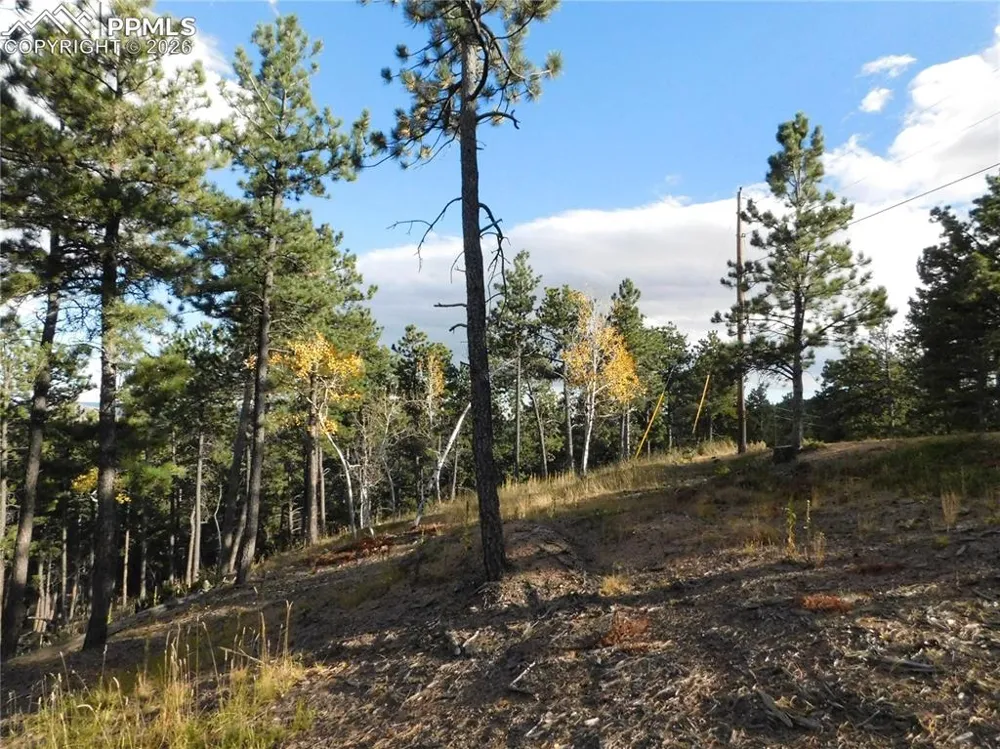 13910 Boulder Lane Larkspur, CO 80118