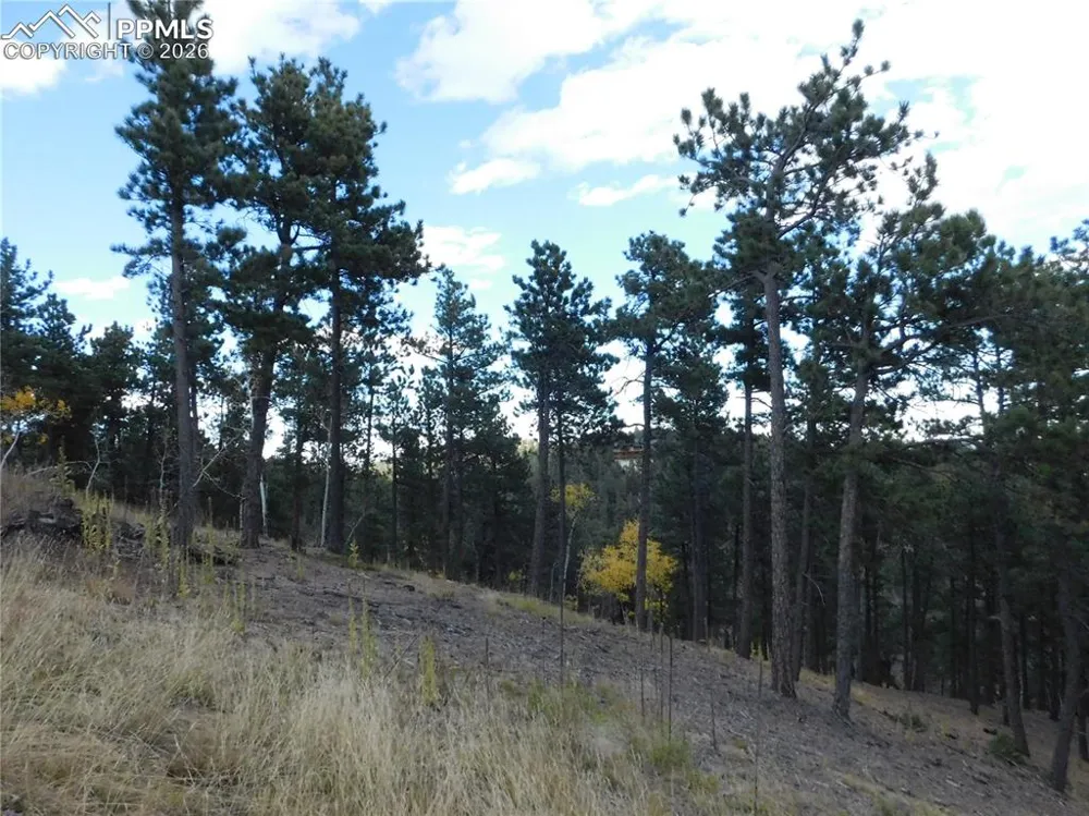 13910 Boulder Lane Larkspur, CO 80118