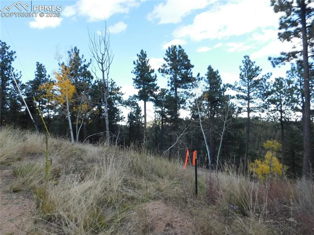 13910 Boulder Lane Larkspur, CO 80118