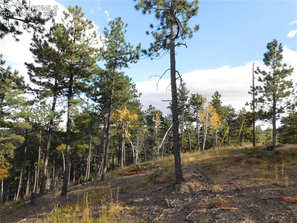 13910 Boulder Lane Larkspur, CO 80118
