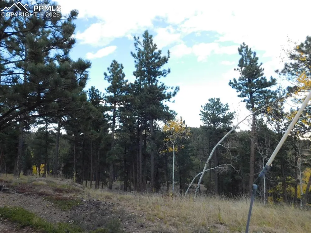 13910 Boulder Lane Larkspur, CO 80118