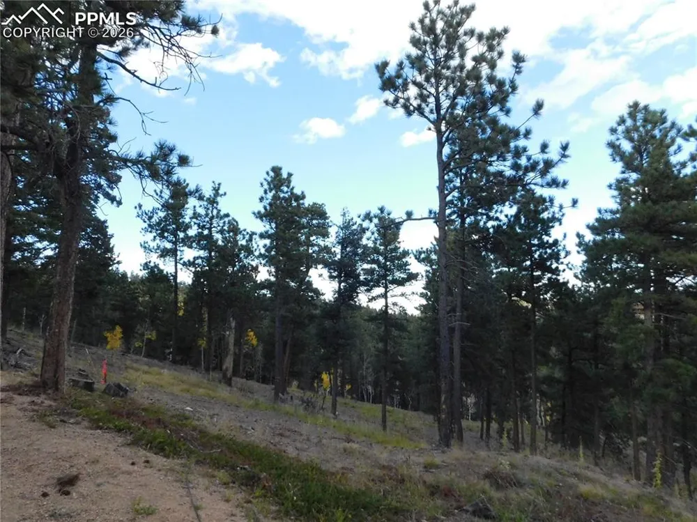 13910 Boulder Lane Larkspur, CO 80118