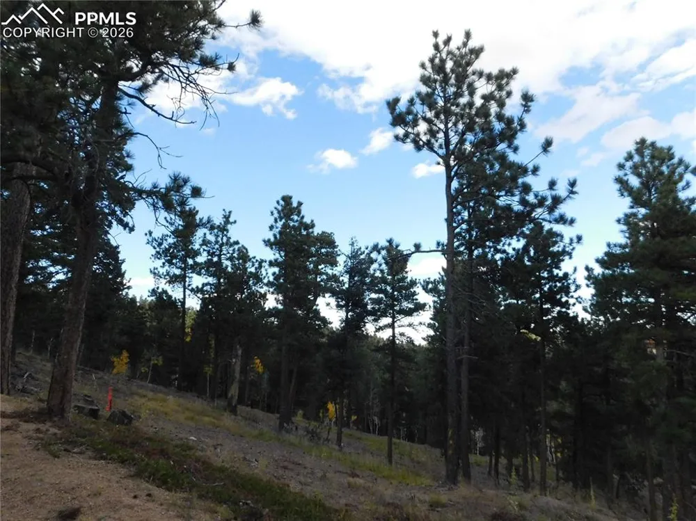 13910 Boulder Lane Larkspur, CO 80118