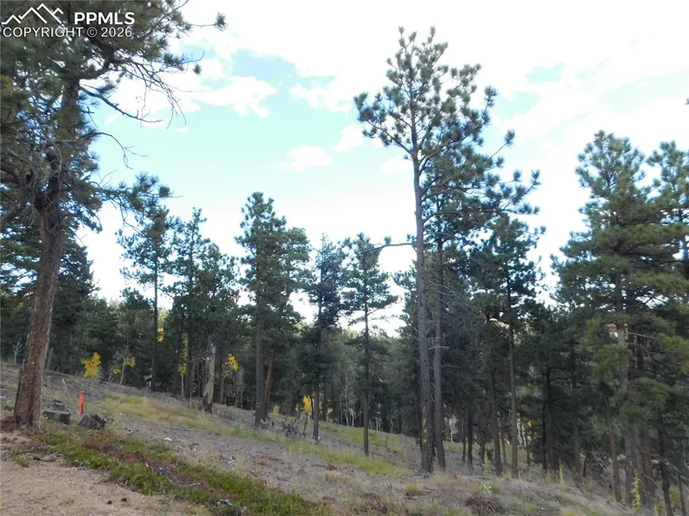 13910 Boulder Lane Larkspur, CO 80118