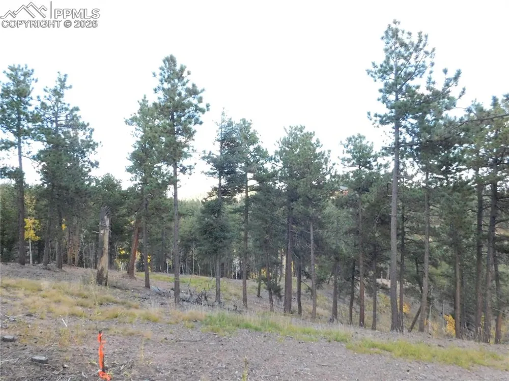 13910 Boulder Lane Larkspur, CO 80118