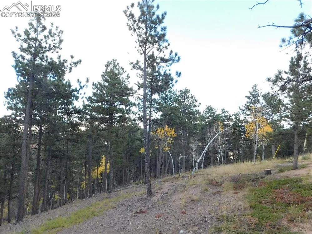 13910 Boulder Lane Larkspur, CO 80118