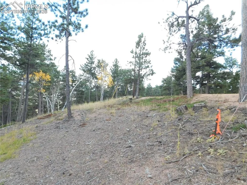 13910 Boulder Lane Larkspur, CO 80118