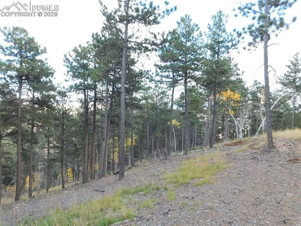 13910 Boulder Lane Larkspur, CO 80118