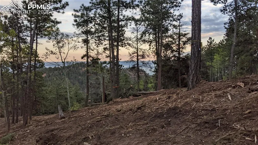 13910 Boulder Lane Larkspur, CO 80118