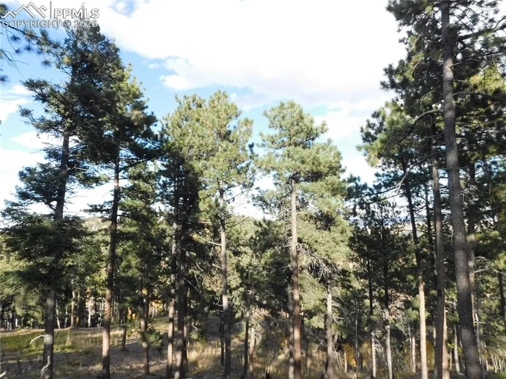 13910 Boulder Lane Larkspur, CO 80118