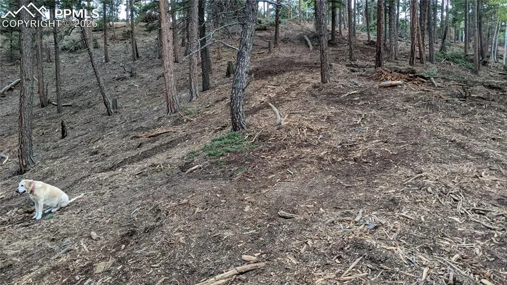 13910 Boulder Lane Larkspur, CO 80118