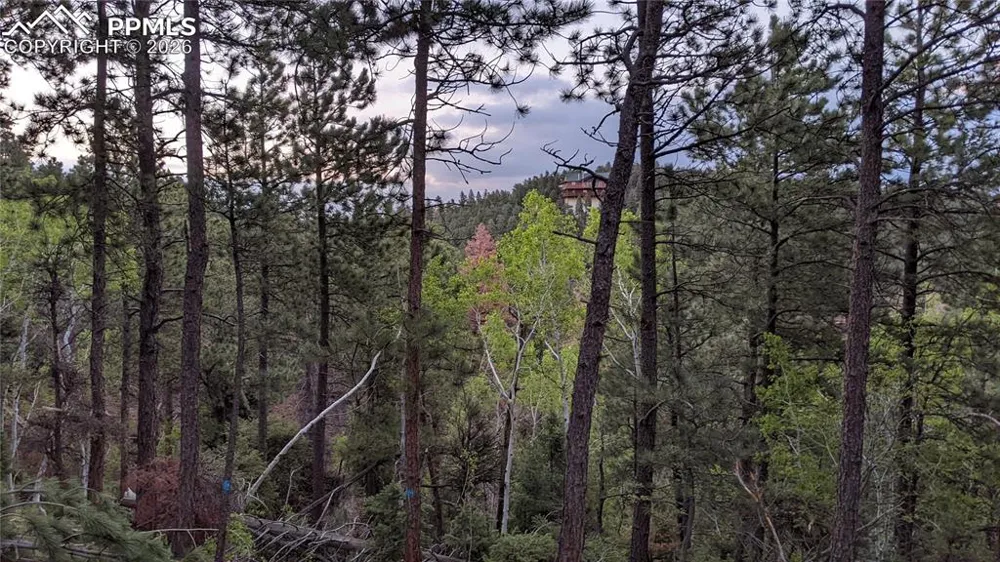 13910 Boulder Lane Larkspur, CO 80118