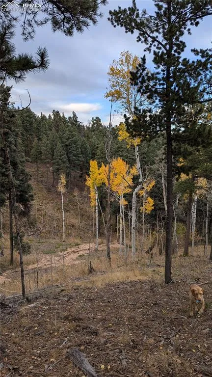 13910 Boulder Lane Larkspur, CO 80118