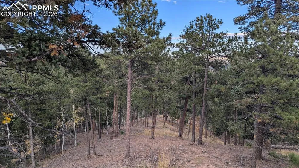 13910 Boulder Lane Larkspur, CO 80118