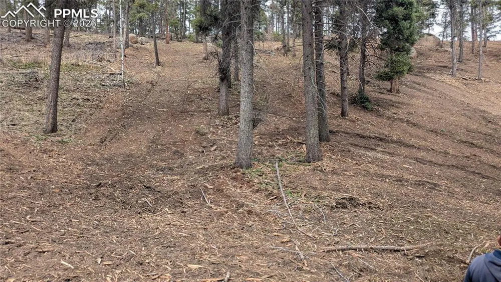 13910 Boulder Lane Larkspur, CO 80118