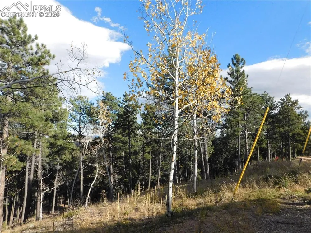 13910 Boulder Lane Larkspur, CO 80118
