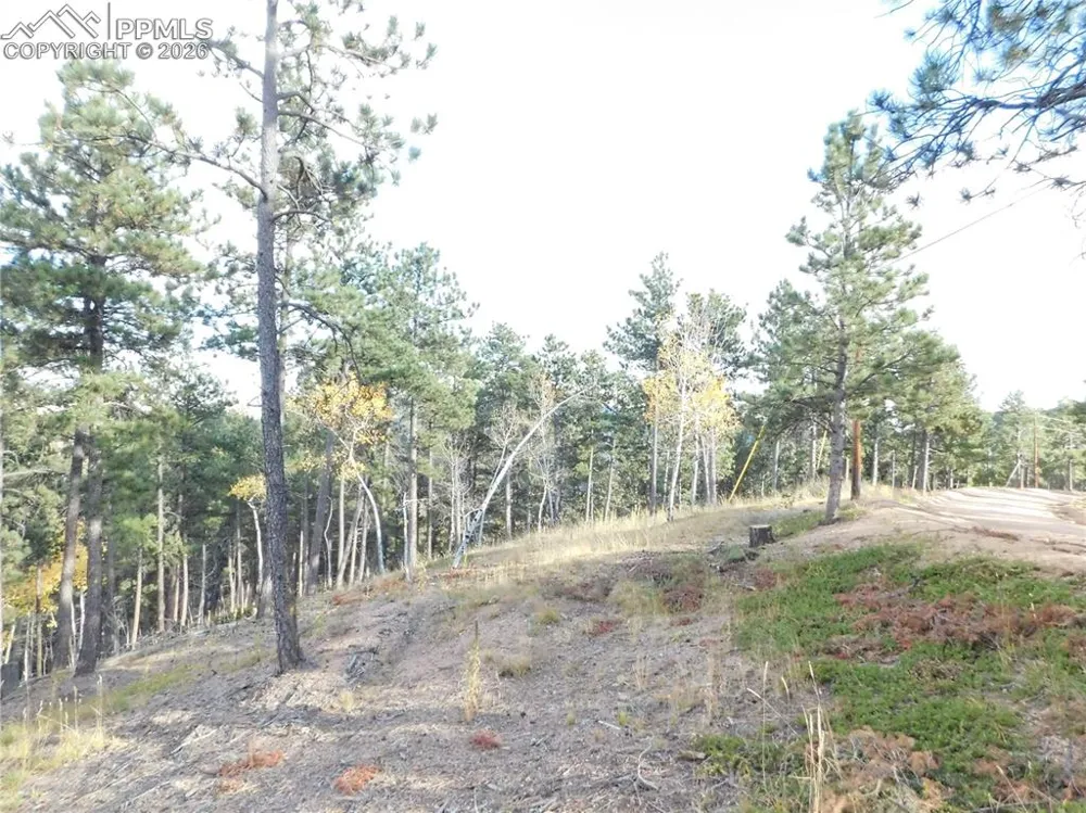 13910 Boulder Lane Larkspur, CO 80118