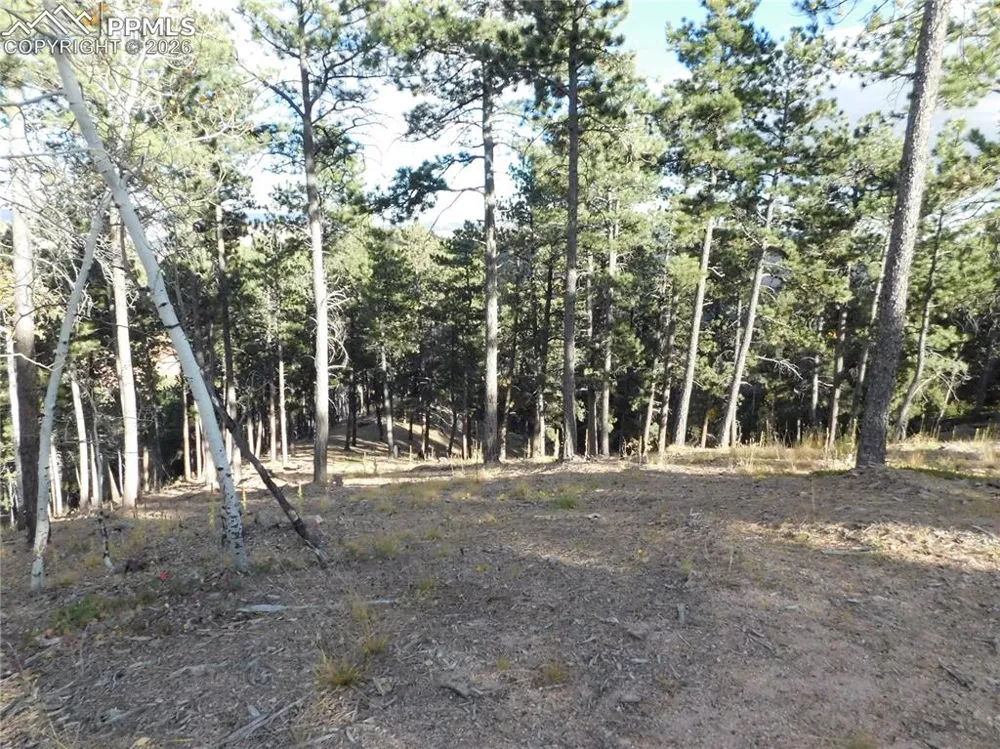 13910 Boulder Lane Larkspur, CO 80118