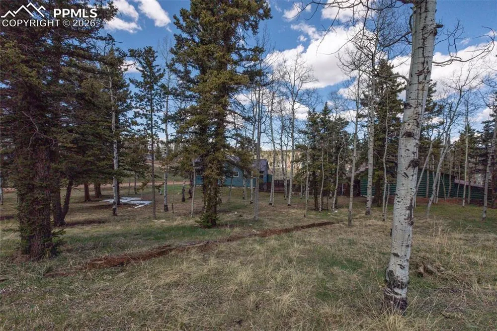 571 Will Scarlet Drive Divide, CO 80814