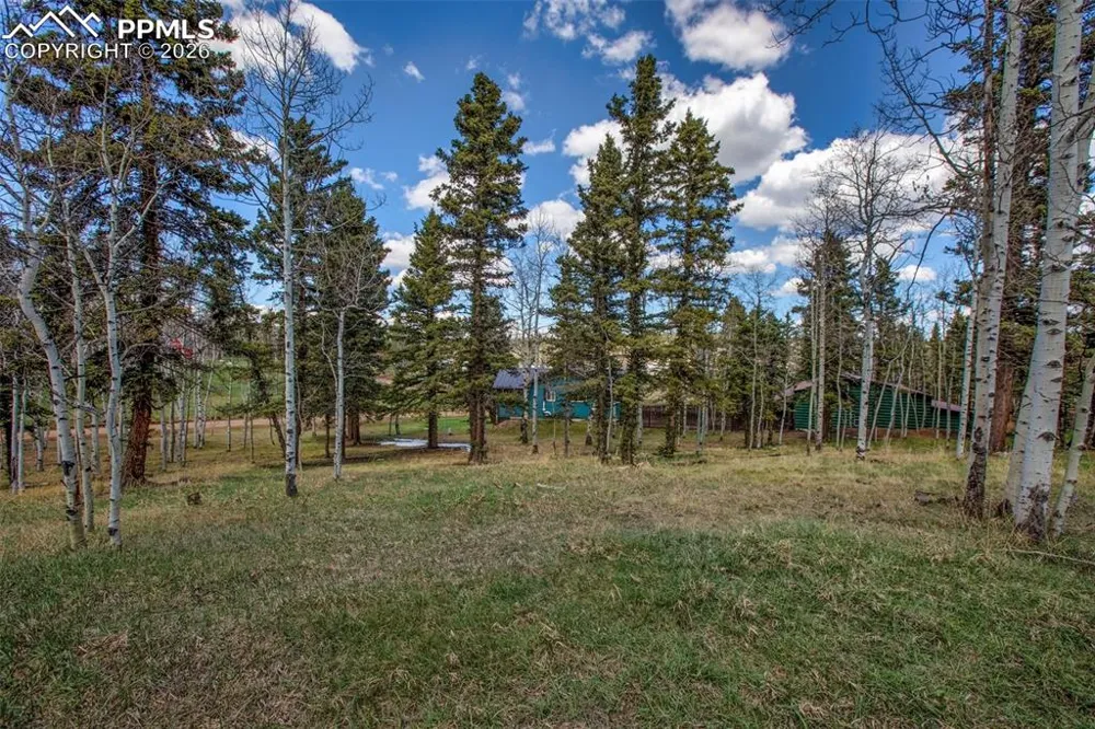 571 Will Scarlet Drive Divide, CO 80814