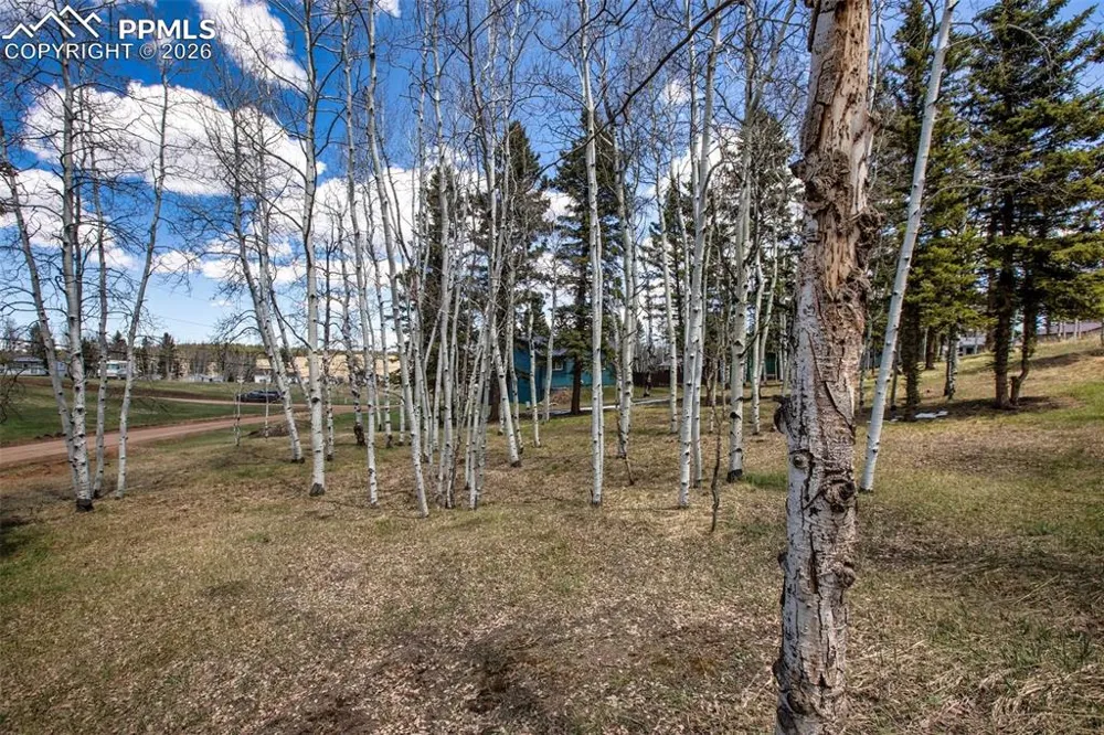 571 Will Scarlet Drive Divide, CO 80814