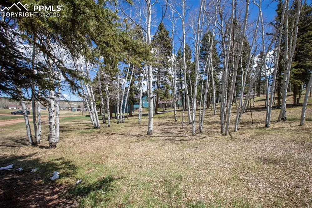 571 Will Scarlet Drive Divide, CO 80814