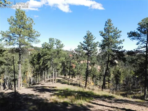 13886 Boulder Lane