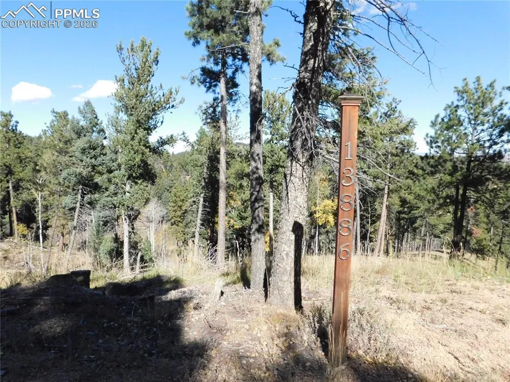 13886 Boulder Lane Larkspur, CO 80118