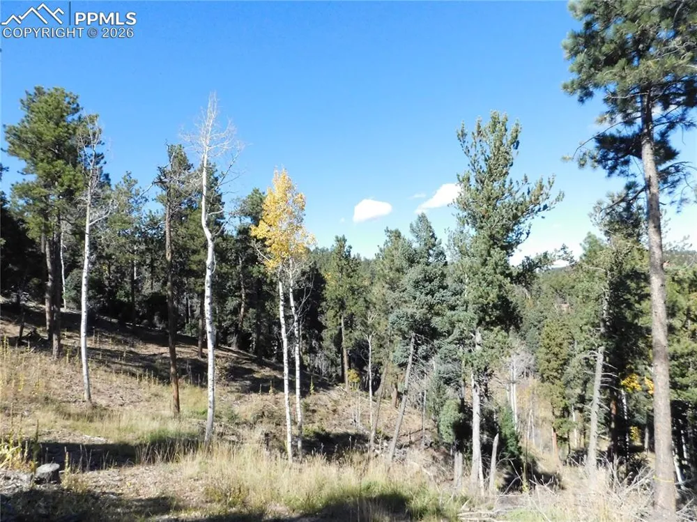 13886 Boulder Lane Larkspur, CO 80118